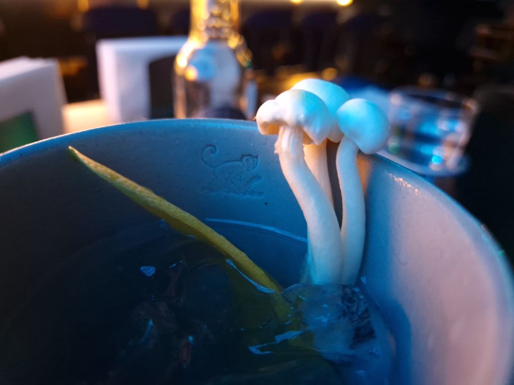 GiGi gin tonic raw bar